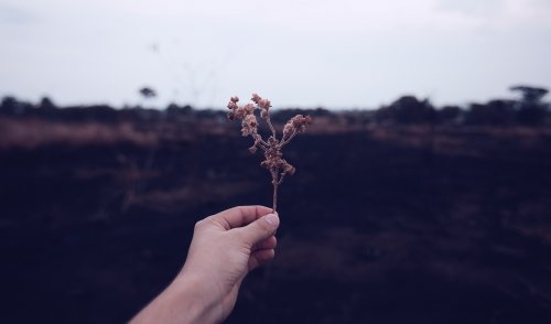 如何提高自己为人处世的能力-成都棕南医院_成都精神病医院